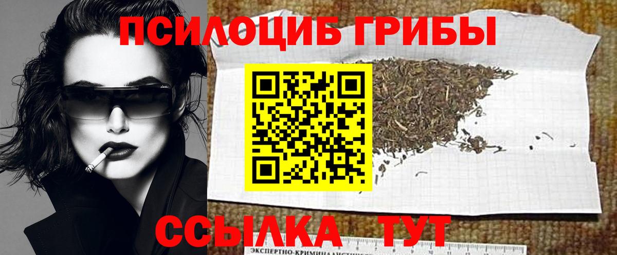 где купить   Псилоцибиновые грибы мухоморы  Вход с VPN  Южноуральск 